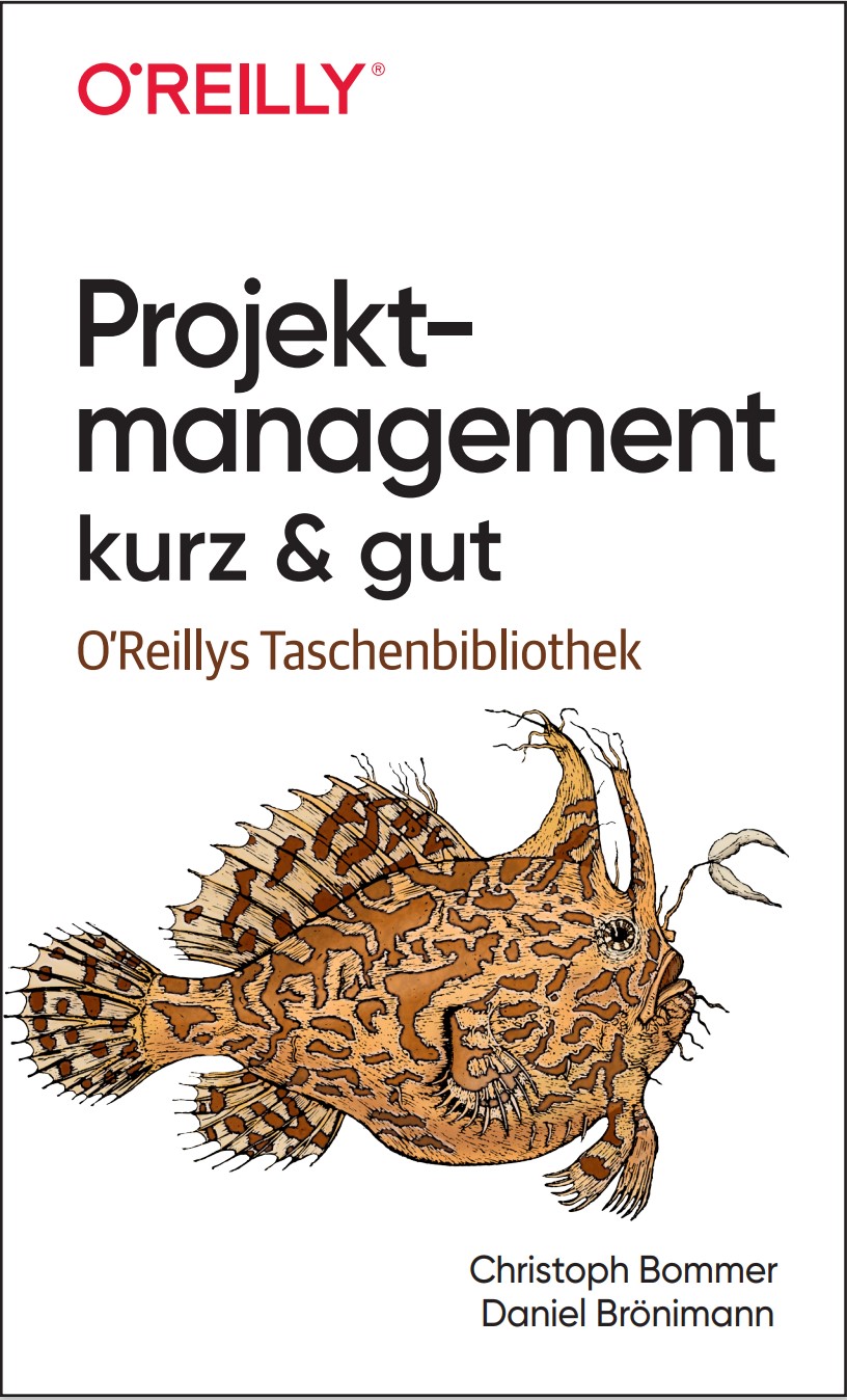 Buch Projektmanagement